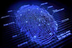 sinh trắc vân tay